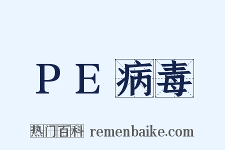 PE病毒是什么意思的图片